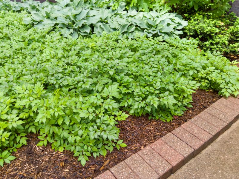 Brick Landscaping Installation in Stamford, CT