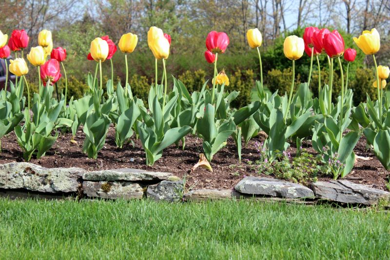Stone Edging Installation in Boston, MA